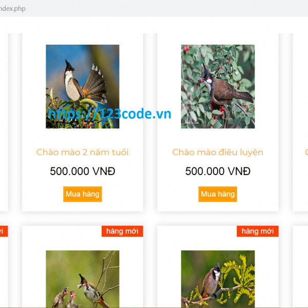 Tải source code website mua bán chim cảnh php có hướng dẫn